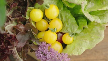 Gemüse auf dem Balkon: 5 Pflegetipps mit Sabrina Nitsche | Bild: BR / Bernhard Finger