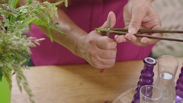 So halten Schnittblumen länger - Tipps von Sabrina | Bild: BR / Bernhard Finger