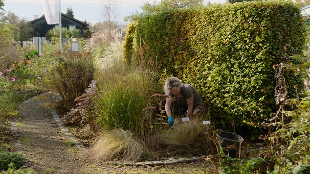 Querbeet Schaugarten Seeshaupt Teaserbild | Bild: BR