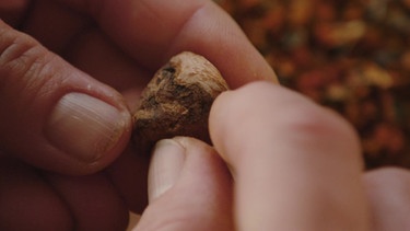 Naturschmuck: Baumperlenanhänger mit TTamara Leuthe-Hontecillas (Weiler im Allgäu, Lkr. Lindau) | Bild: BR / Michael Ackermann