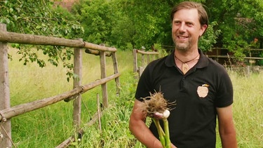 Food Forest Ormalingen (Schweiz) mit Lucien Holzapfel | Bild: Sabrina Nitsche