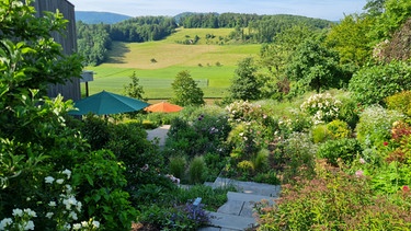 Der Garten von Dominique Schnetzer bei Basel (Schweiz) | Bild: Tobias Bode