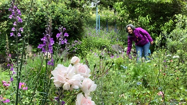 Kräutergarten von Pascale Treichler (Eichberg, Schweiz) | Bild: Sabrina Nitsche