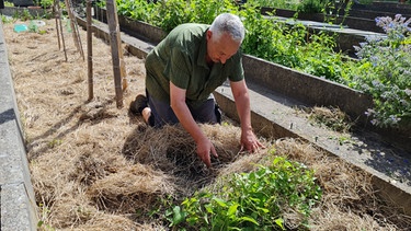 Permakulturgarten Schadau in Thun (Schweiz) mit Angelo Volpe | Bild: Tobias Bode