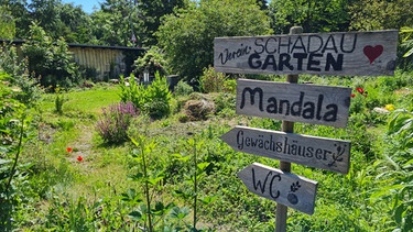 Permakulturgarten Schadau in Thun (Schweiz) mit Angelo Volpe | Bild: Tobias Bode