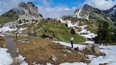 Botanischer Alpengarten Schynige Platte bei Interlaken (Schweiz) mit  Gärtnerin Jasmin Senn | Bild: Tobias Bode