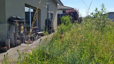 Wildbienen-Privatgarten von Claude Salafia in Subingen (Schweiz) | Bild: Tobias Bode