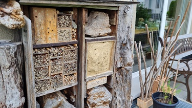 Wildbienen-Privatgarten von Claude Salafia in Subingen (Schweiz) | Bild: Tobias Bode