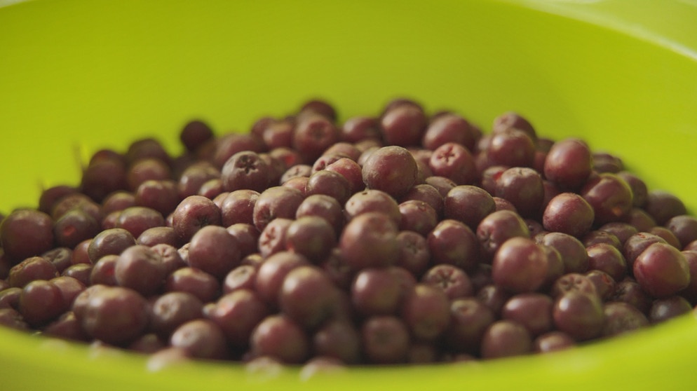 preiselbeer ersatz aus dem garten wildobst rezept mit sorbaronia querbeet br fernsehen fernsehen br de