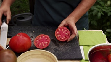 Tomaten vermehren | Bild: BR