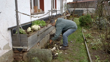 Wintergemüse mit Norbert Schmäling (Oberthulba) | Bild: BR / Tino Müller