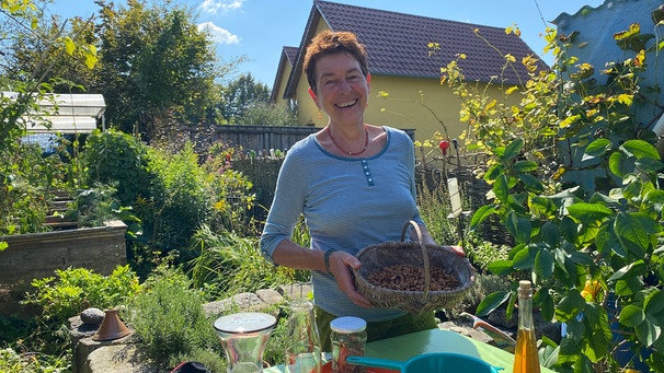 Zwetschgenernte mit Rezept für Zwetschgen-Eis und -Amaretto von Renate Hudak (Augsburg) | Bild: Julia Schade