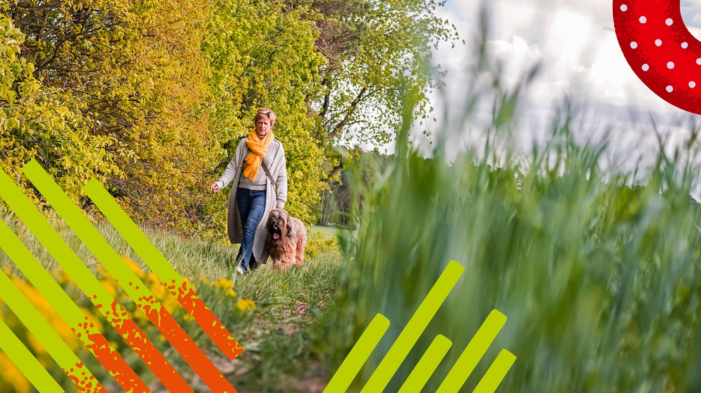 Ein Mensch geht allein in der Natur mit einem Hund spazieren | Bild: IMAGO / Westend61 / Bildmontage BR