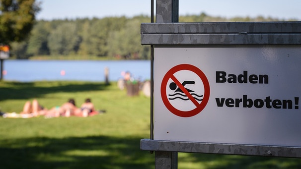 Auf einem Schild am Ufer eines Sees steht "Baden verboten". | Bild: picture alliance / dpa | David Ebener