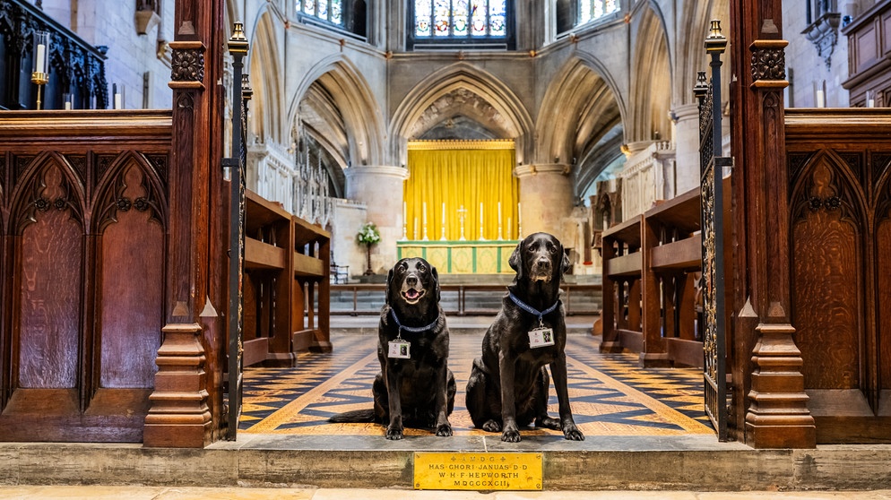 Begrüßungshunde Eric und Florence in der Tewkesbury Abbey | Bild: picture alliance / Cover Images | Jack Boskett/Cover Images