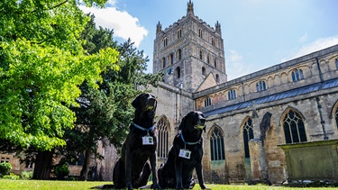 Begrüßungshunde Eric und Florence vor der Tewkesbury Abbey | Bild: picture alliance / Cover Images | Jack Boskett/Cover Images