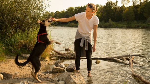 Eine Frau steht barfuss im Fluss und spielt mit ihrem Hund. | Bild: mauritius images / Westend61 / Christina Falkenberg