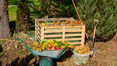 Komposthaufen mit Holzumrandung in einem Garten | Bild: mauritius images / Jurate Buiviene / Alamy / Alamy Stock Photos