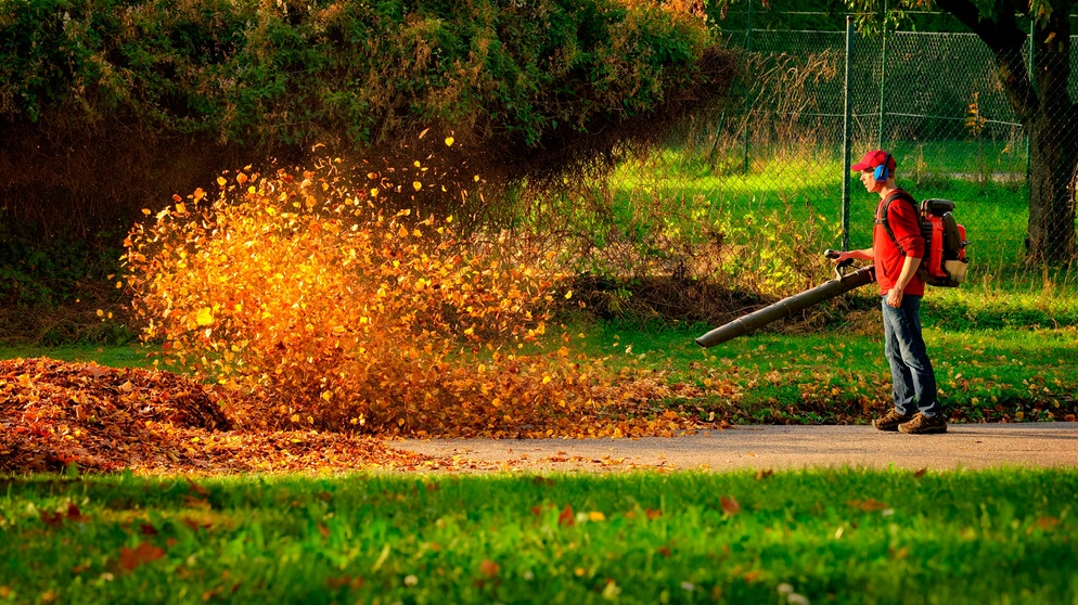 Ein Mann bläst mit Laubbläser Blätter von einer Seite zur anderen | Bild: mauritius images / Smileus Images / Alamy / Alamy Stock Photos