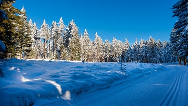 Eine gespurte Loipe im Bayerischen Wald | Bild: mauritius images / Buschkind / Alamy / Alamy Stock Photos