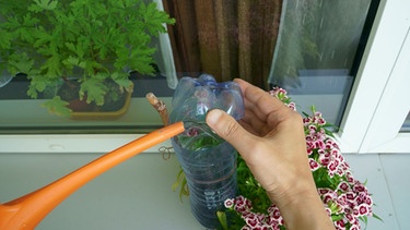 Han gießt Wasser in eine Plastikflasche, die als Bewässerung in einem Blumentopf steckt. | Bild: mauritius images / ULD media / Alamy / Alamy Stock Photos