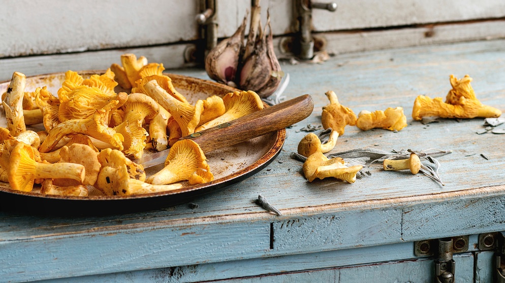 Pfifferlinge putzen: Der schnelle Mehl-Trick für saubere Reherl ...