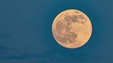 Eindrucksvoller Supermond | Bild: dpa-Bildfunk/Patrick Pleul