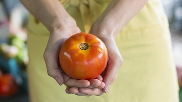 Tomaten | Bild: mauritius images / Mint Images Ltd. / Bill Miles