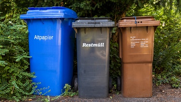 Drei verschiedene Mülltonnen, Papier-, Rest- und Biomüll | Bild: mauritius images / Westend61 / Tom Chance