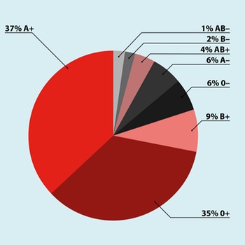 Grafische Darstellung der Verteilung der Blutgruppen in der Bevölkerung (https://www.bzga.de) | Bild: Bundeszentrale für gesundheitliche Aufklärung - Kampagne „Blut spenden. Einfach machen“