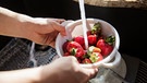 Erdbeeren werden unser Wasserhahn gewaschen | Bild: mauritius images / Cavan Images / LIsa Weatherbee
