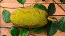 Eine geerntete Jackfruit liegt auf einem Tisch | Bild: mauritius images / Shamil / Alamy / Alamy Stock Fotos