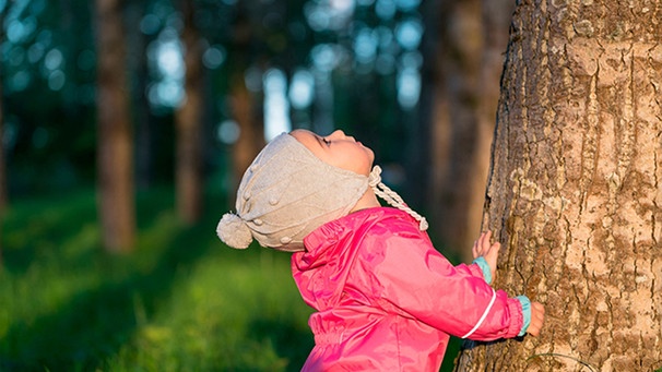 Ein Kleinkind blickt an einen Baum gelehnt nach oben | Bild: mauritius images / Pavel Talashov / Alamy / Alamy Stock Photos