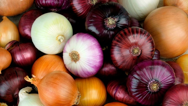 Verschiedene Zwiebelsorten liegen auf einem Tisch | Bild: mauritius images / Leventina / Alamy / Alamy Stock Photos