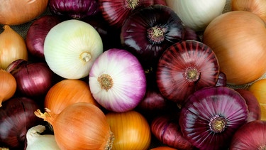 Verschiedene Zwiebelsorten liegen auf einem Tisch | Bild: mauritius images / Leventina / Alamy / Alamy Stock Photos