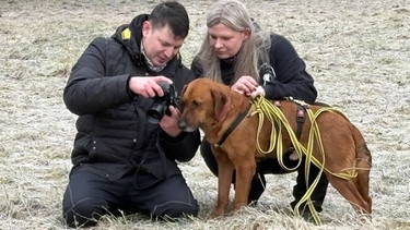 Auch Hund Thunder hilft Fotograf Karol Wawzeszyk beim Suchen nach einem Zuhause | Bild: BR