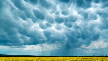 Mammatuswolken nach einem Gewitter | Bild: mauritius images / Ivan Kmit / Alamy / Alamy Stock Photos