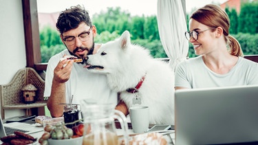 Hund nascht beim Frühstückstisch | Bild: mauritius images / Alamy / Viacheslav Iakobchuk