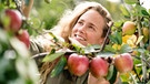 Darf man wildes Obst ernten | Bild: mauritius images / Westend61 / Peter Scholl