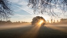 Die Strahlen der aufgehenden Sonne fallen durch den Frühnebel auf eine Wiese. | Bild: picture alliance/dpa | Daniel Karmann