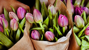 Frisch gekaufte, in Papier eingewickelte Tulpen.  | Bild: mauritius images / Johnér