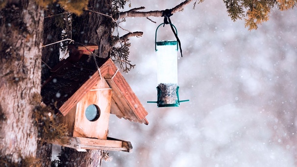 Leeres Vogelhaus im Winter | Bild: mauritius images / Alamy / Maximilian Pawlikowsky