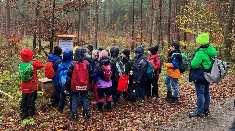 Drittklässler der Grundschule Oberhaid lernen über Klimaschutz | Bild: BR/Rebecca Bück