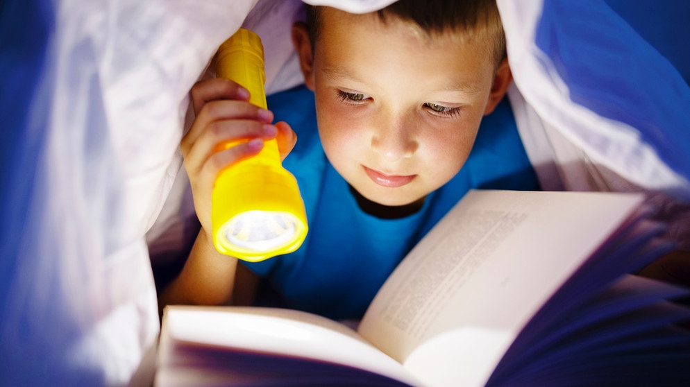 Ein Bub liest ein Buch, unter der Bettdecke, mit Taschenlampe in der Hand | Bild: colourbox.com