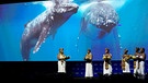 Afrokolumbianische Frauen treten während der Eröffnungszeremonie der COP16, einer Konferenz der Vereinten Nationen zum Thema Biodiversität, in Cali, Kolumbien, auf.
| Bild: dpa-Bildfunk/Fernando Vergara