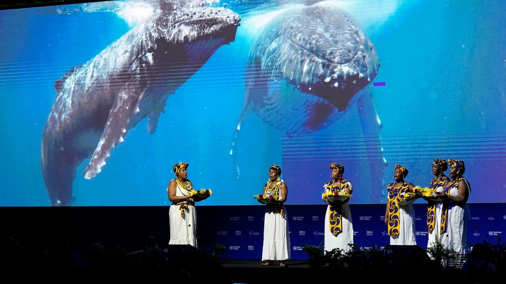 Afrokolumbianische Frauen treten während der Eröffnungszeremonie der COP16, einer Konferenz der Vereinten Nationen zum Thema Biodiversität, in Cali, Kolumbien, auf.
| Bild: dpa-Bildfunk/Fernando Vergara