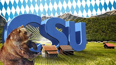 Bärenstarke CSU, Bayerische Symbole, blühende Landschaften, CSU-Logo,  | Bild: colourbox.com, BR