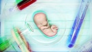 Symbolbild: Embryo | Bild: picture-alliance/dpa