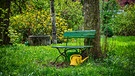 Ein Garten im Sommer mit grünen Pflanzen, einer Bank und einer Gieskanne | Bild: colourbox.com