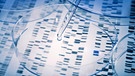 Probe wird in eine Petrischale über genetische Ergebnisse pipettiert. | Bild: picture alliance / Klaus Ohlenschläger 